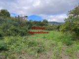 Particella, VELLETRI, 55.000 €, 12732,00 mq