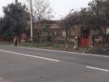 Particella, MASCALI, 94.000 €, 450,00 mq