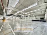 Affitto, Superfici commerciali, OPPEANO, 35.000 €, 7600,00 mq