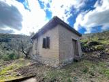 Particella, MONTE ARGENTARIO, 99.000 €, 1038,00 mq