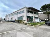 Superfici commerciali, TOLENTINO, 370.000 €, 850,00 mq