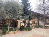 Appartamento, VOLVERA, 550.000 €, 280,00 mq