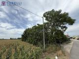 Particella, CESENATICO, Sala, 150.000 €, 1034,00 mq