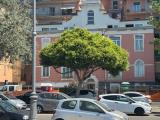 Appartamento, SALERNO, 325.000 €, 78,00 mq