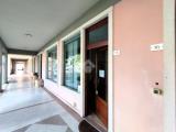 Superfici commerciali, SPRESIANO, 79.000 €, 60,00 mq
