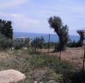 Particella, VASTO, 120.000 €, 2747,00 mq