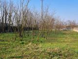 Particella, DESIO, 120.000 €, 2700,00 mq