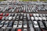 Affitto, Superfici commerciali, CAMPI BISENZIO, 8.000 €, 2980,00 mq