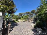Casa, CAPACCIO, 320.000 €, 130,00 mq