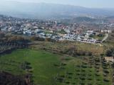 Particella, MENDICINO, 700.000 €, 41309,00 mq
