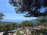 Particella, ALASSIO, 200.000 €, 160,00 mq