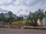 Particella, COLLEPASSO, 29.000 €, 428,00 mq