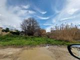 Particella, NETTUNO, 15.000 €, 3299,00 mq