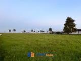 Particella, CHERASCO, 34.000 €, 2345,00 mq