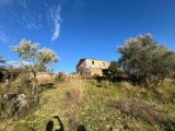 Particella, COSENZA, 99.000 €, 10000,00 mq