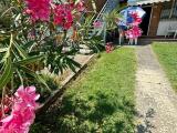 Casa, COMACCHIO, 168.000 €, 55,00 mq