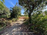 Particella, PALERMO, 120.000 €, 3300,00 mq