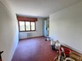 Affitto, Superfici commerciali, LUCCA, 1.300 €, 125,00 mq