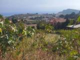 Particella, REALMONTE, 30.000 €, 840,00 mq