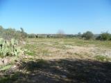 Particella, FLORIDIA, 55.000 €, 9000,00 mq