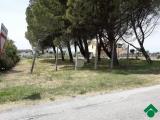 Particella, SPELLO, 85.000 €, 1800,00 mq
