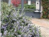 Appartamento, FIRENZE, 445.000 €, 172,00 mq