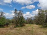 Particella, SCANDICCI, 32.000 €, 10300,00 mq