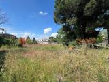 Particella, SALIZZOLE, 35.000 €, 1250,00 mq