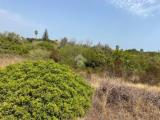Particella, LECCE, <i>A richiesta</i>, 2142,00 mq