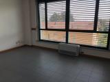Affitto, Superfici commerciali, REGGIO NELL
