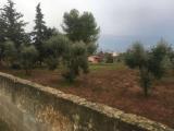 Particella, COLLEPASSO, 29.000 €, 5000,00 mq