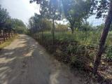 Particella, SOMMA VESUVIANA, 11.000 €, 2000,00 mq
