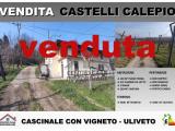 Casa, CASTELLI CALEPIO, 365.000 €, 135,00 mq
