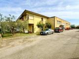 Superfici commerciali, GROSSETO, 735.000 €, 717,00 mq