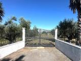 Particella, FRASCATI, 79.000 €, 4570,00 mq