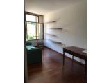 Affitto, Appartamento, PADOVA, 800 €, 50,00 mq