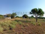 Particella, MELILLI, 70.000 €, 2143,00 mq