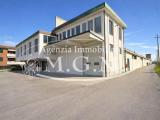 Affitto, Superfici commerciali, BIENTINA, 9.900 €, 3300,00 mq