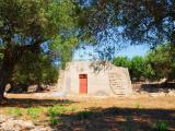 Particella, CASTRIGNANO DEL CAPO, 75.000 €, 7900,00 mq