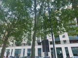 Appartamento, PERUGIA, 58.000 €, 34,00 mq