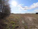 Particella, BIGARELLO, 902.000 €, 8200,00 mq