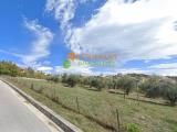 Particella, CAMPOBASSO, Colle Delle Api, 37.000 €, 3700,00 mq