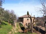 Particella, MONTEPULCIANO, 395.000 €, 210,00 mq