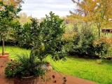 Casa, PARMA, 730.000 €, 235,00 mq