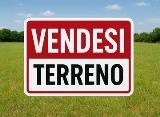 Particella, SAVIGNANO SUL RUBICONE, 70.000 €, 15067,00 mq