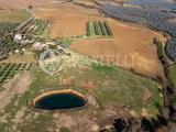 Particella, CAPALBIO, 800.000 €