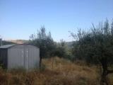Particella, BUCINE, 20.000 €, 4300,00 mq