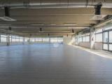 Affitto, Superfici commerciali, SASSUOLO, 6.000 €, 1000,00 mq