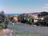 Particella, MOSCIANO SANT