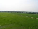 Particella, VERCELLI, <i>A richiesta</i>